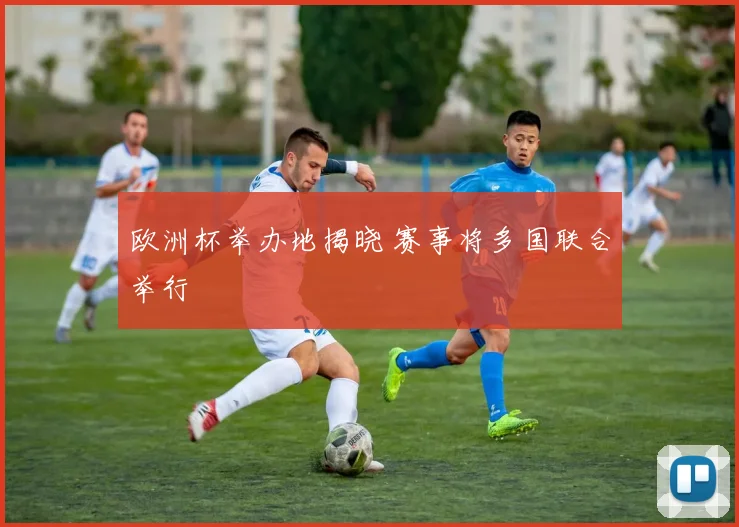 欧洲杯举办地揭晓 赛事将多国联合举行