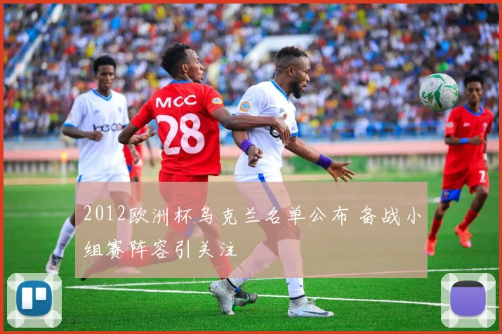 2012欧洲杯乌克兰名单公布 备战小组赛阵容引关注